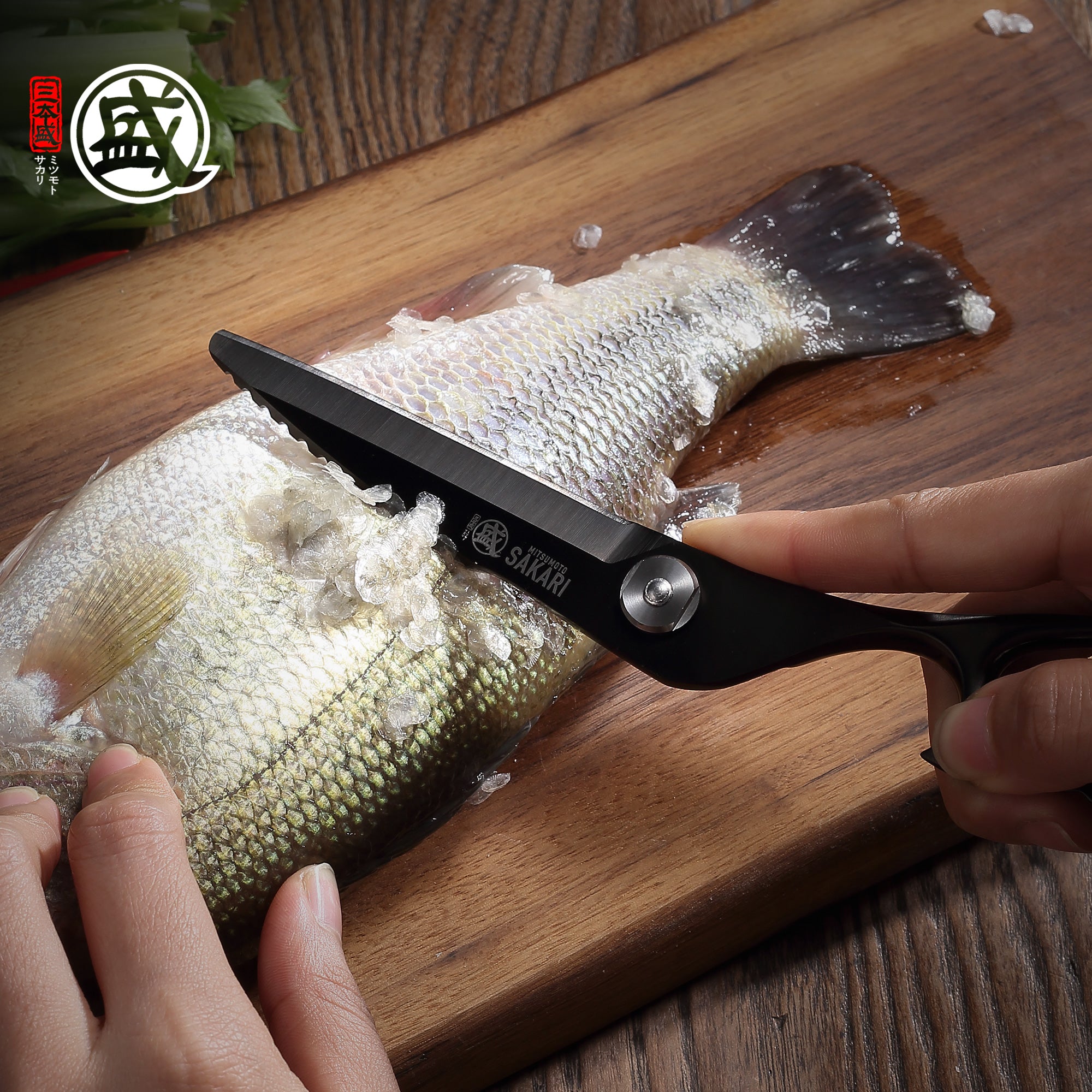 Black Shark Kitchen Shears